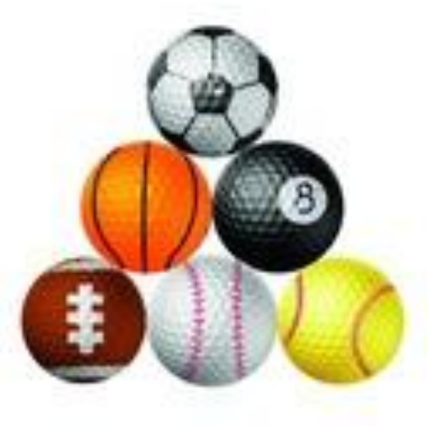 Longridge Sports Golf Balls 6 balls