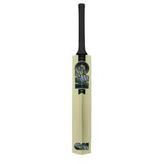 Gunn & Moore Aion Junior Cricket Bat
