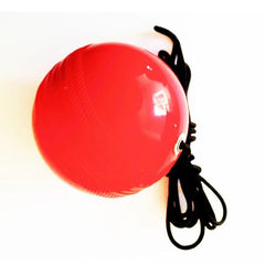 V Pro net soft ball