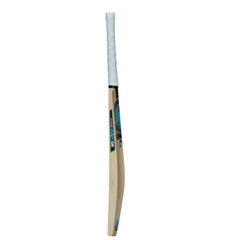 GM Diamond Cricket Bat