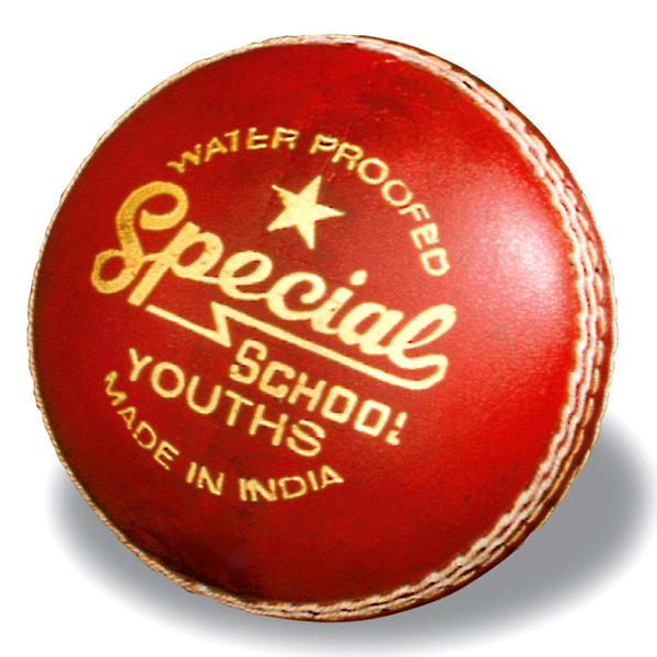 Readers Special School Leather Cricket Ball