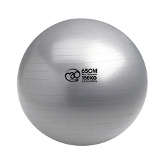 Fitness Mad Swiss Ball with pump