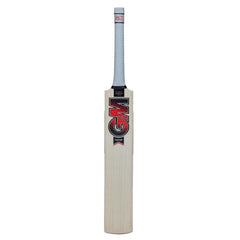 GM Radon Junior Cricket Bat