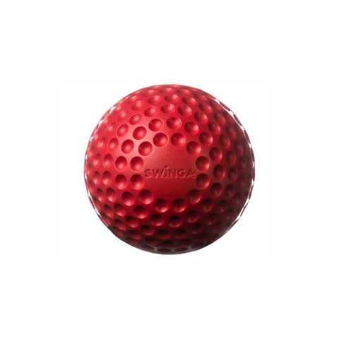 Swinga Technique Ball