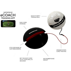 Replay Training Ball